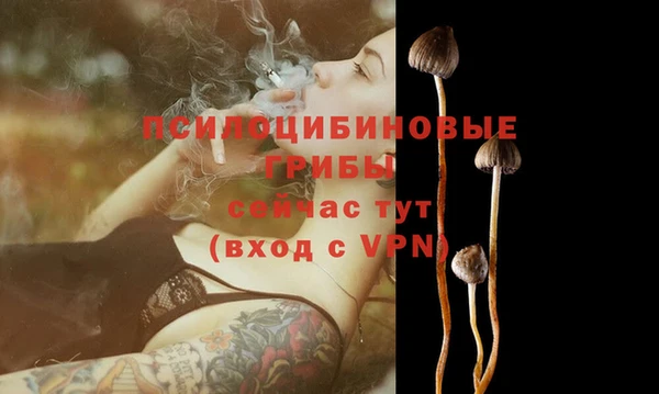 мяу мяу мука Гусиноозёрск