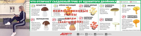 молекула духа Горняк