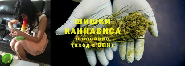 тгк Пестово