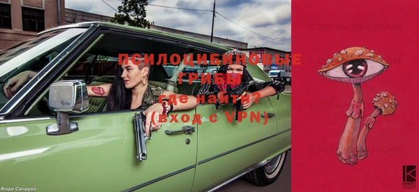 ешки Ладушкин