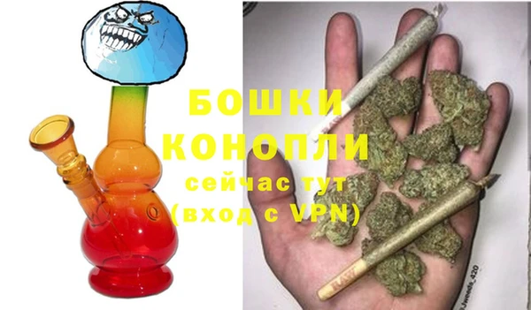 СК Гусев